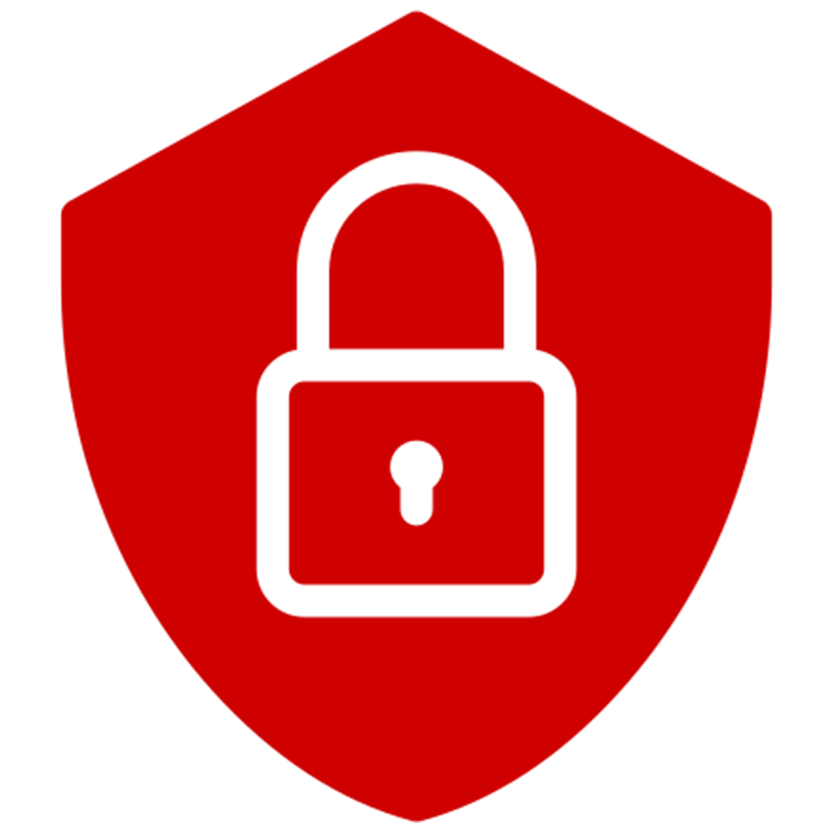 SEGURIDAD PRIVADA