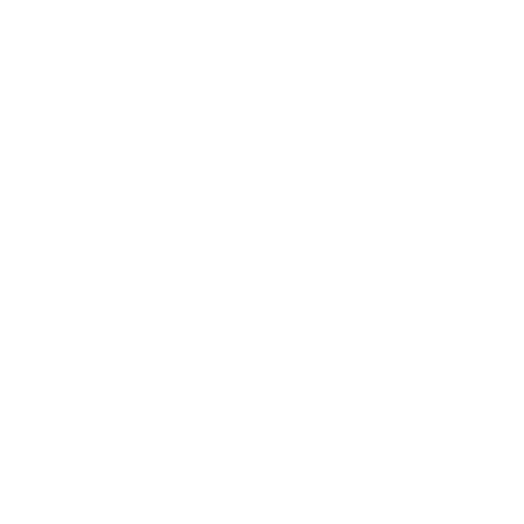 {service.icon}